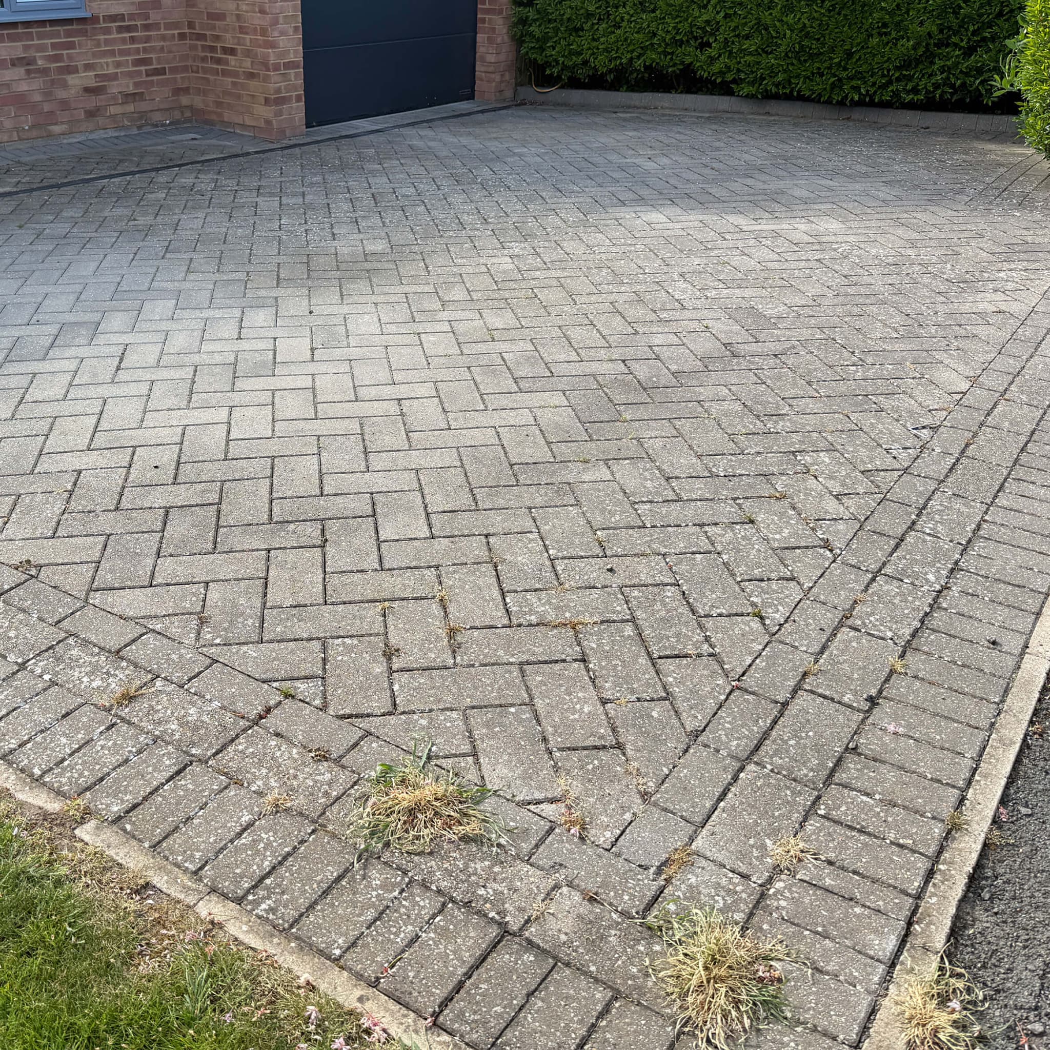Driveway before cleaning, showing moss, weed growth and oil staining