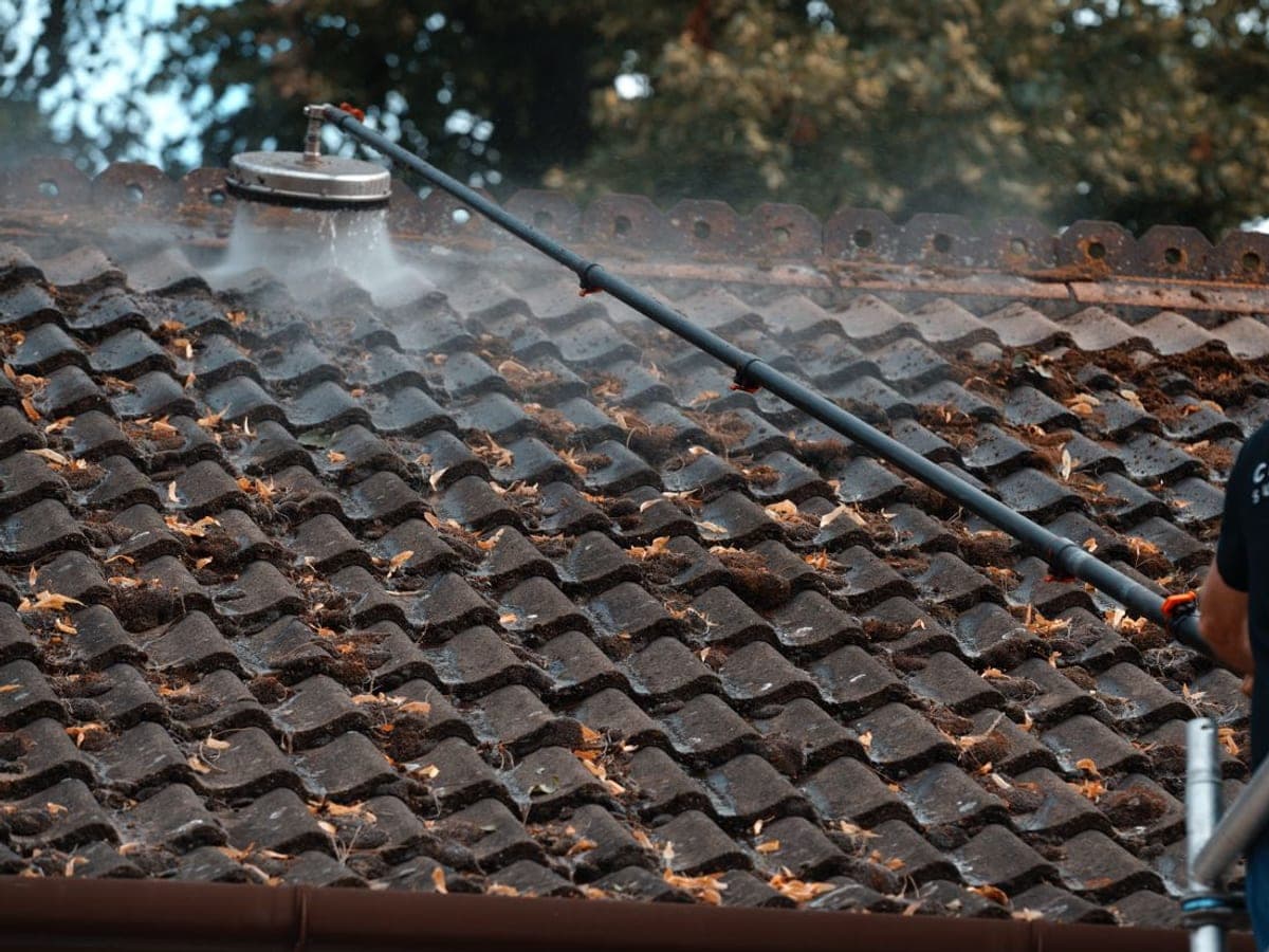 Heavily mossed tiled roof being soft washed, the rotary head spraying across the pantiles
